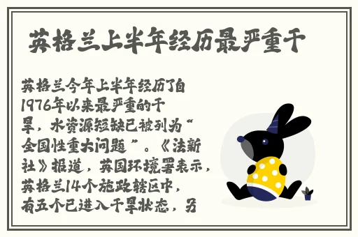 东北打桩机2023gray